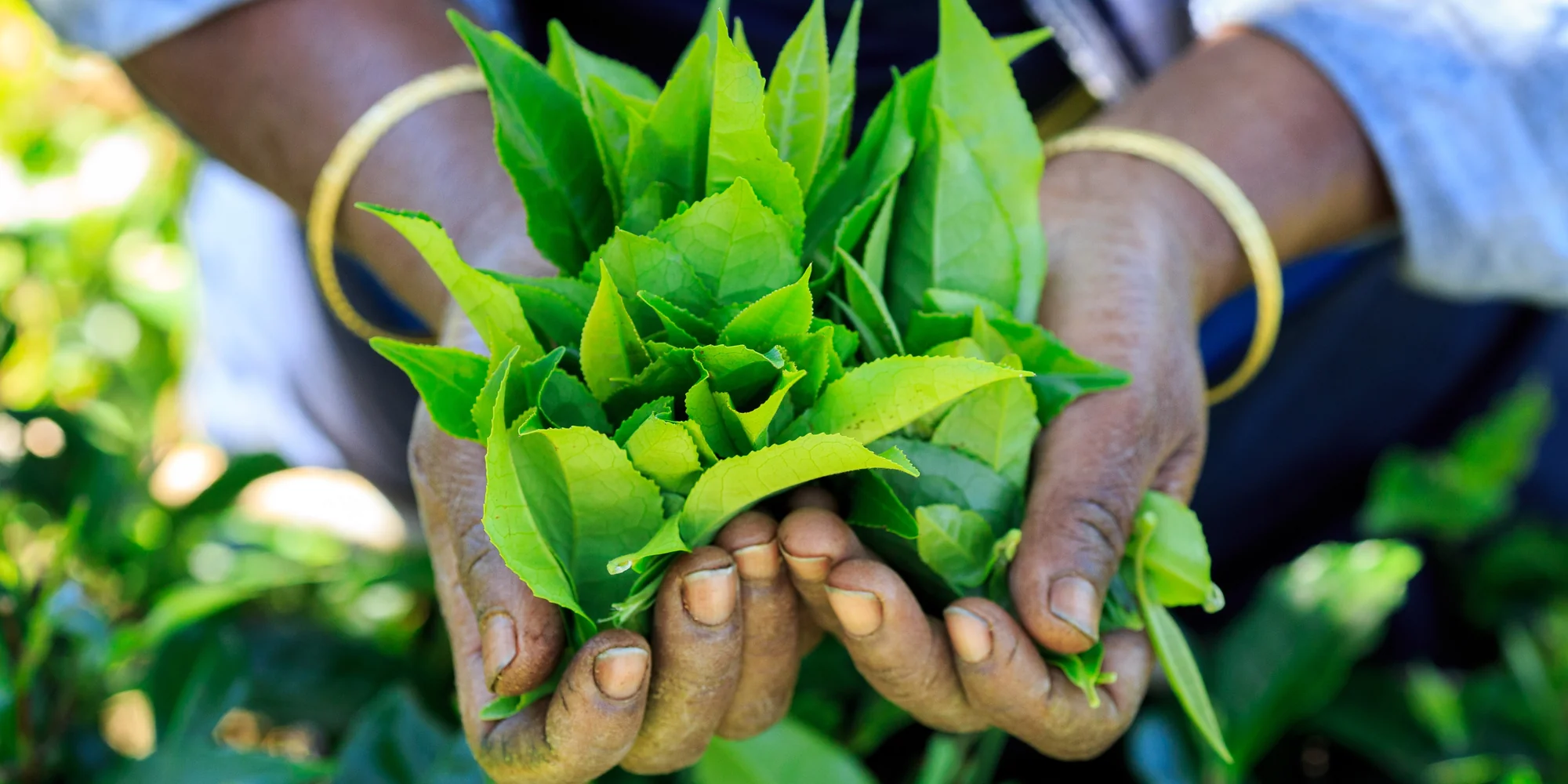 Legendary London Flavors Since 1887